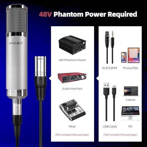 Studio Microphone, Professional Cardioid XLR Condenser Recording Mic Voice Over Kit with Boom Arm for Music, Singing, Podcasting, and Vocal Streaming - color: Boom Arm