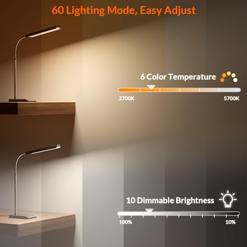 LEPOWER-TEC LED Desk Lamp, 12W Reading Desk Lamp for Office Home with 60 Lighting Modes, Touch Control & Timer Function, 750LM Bright Eye-Caring Gooseneck Desk Light Table Lamp for Study, Work, Silver