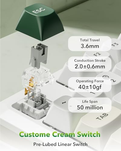 Redragon K734W Wireless Mechanical Keyboard, Tri Mode BT5.0/2.4G/USB-C 75% 81 Keys TKL Custom Hot Swappable Gaming Keyboard, Pre-lubed Linear Switches,RGB Gasket Computer Creamy Keyboard, for PC/MAC - color: Green TKL