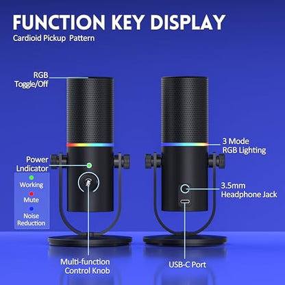 Gaming Microphone, USB Microphone for PC, Plug & Play Condenser Mic with RGB Light, Desk Computer Microphone, Gain Control, Singing, Recording, Streaming, Podcasting, PS4/5 and Conference