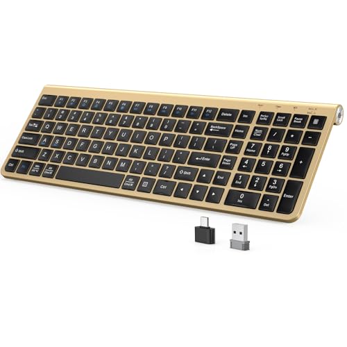 JOYACCESS Black Gold Wireless Keyboard with Low-Profile Keys - 2.4GHz Full-Sized,Windows & Mac OS, Quiet,Ergonomic Keyboard for Computer, Laptop, PC, Mac,Windows- Gold - color: Black Glod