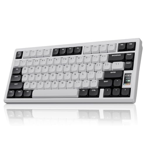 OOCTPK Mechanical Keyboard, Chilkey ND75 LP Wireless Gaming Keyboard with LCD Screen, Bluetooth 5.3/2.4G/USB-C, Hot Swappable Per-Key RGB Custom, Thin Front, Wrist Rest, Full-Aluminum, PC/Mac Support - color: White