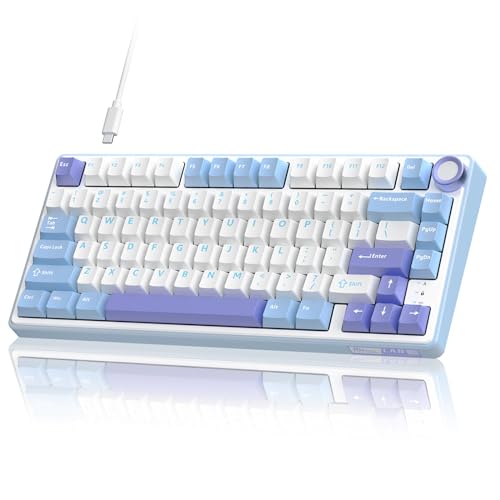 RK ROYAL KLUDGE R75 Mechanical Keyboard Wired with Volume Knob, 75% Custom Gaming Keyboard Gasket Mount RGB Backlit with Software, Cherry Profile, Hot Swappable Silver Switch, PBT Keycaps - color: purple