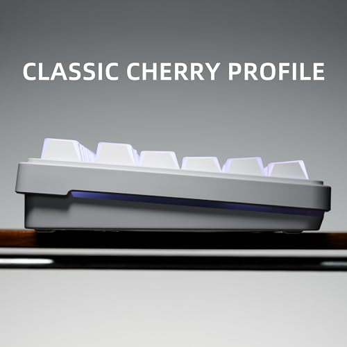 XVX White Shine Through Keycaps, PBT Keyboard Keycaps Cherry Profile, Custom Side Printed Keycap Sets Suitable for 60% 65% 75% 80% 100% Mechanical Keyboard - color: White Prism