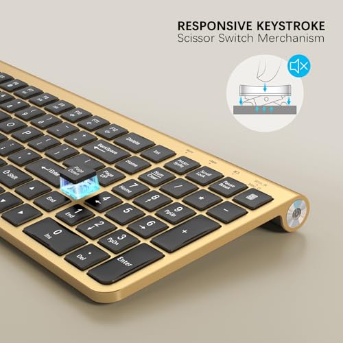 JOYACCESS Black Gold Wireless Keyboard with Low-Profile Keys - 2.4GHz Full-Sized,Windows & Mac OS, Quiet,Ergonomic Keyboard for Computer, Laptop, PC, Mac,Windows- Gold - color: Black Glod