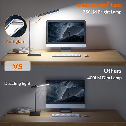 LEPOWER-TEC LED Desk Lamp, 12W Reading Desk Lamp for Office Home with 60 Lighting Modes, Touch Control & Timer Function, 750LM Bright Eye-Caring Gooseneck Desk Light Table Lamp for Study, Work, Silver