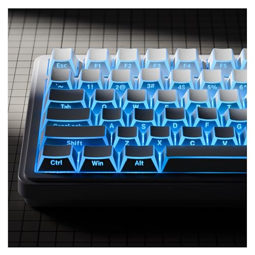 XVX White Shine Through Keycaps, PBT Keyboard Keycaps Cherry Profile, Custom Side Printed Keycap Sets Suitable for 60% 65% 75% 80% 100% Mechanical Keyboard - color: White Prism