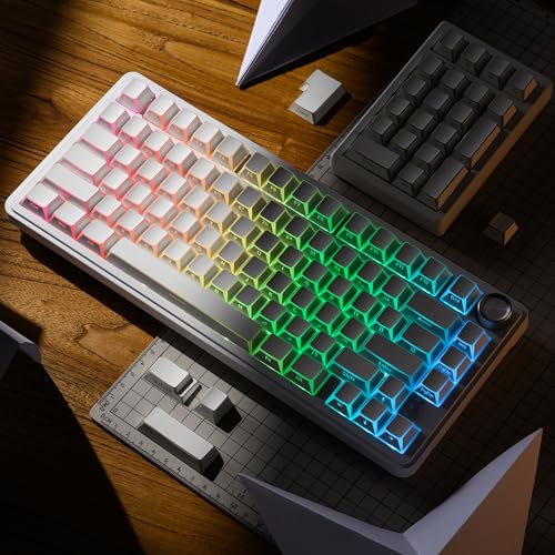 XVX White Shine Through Keycaps, PBT Keyboard Keycaps Cherry Profile, Custom Side Printed Keycap Sets Suitable for 60% 65% 75% 80% 100% Mechanical Keyboard - color: White Prism