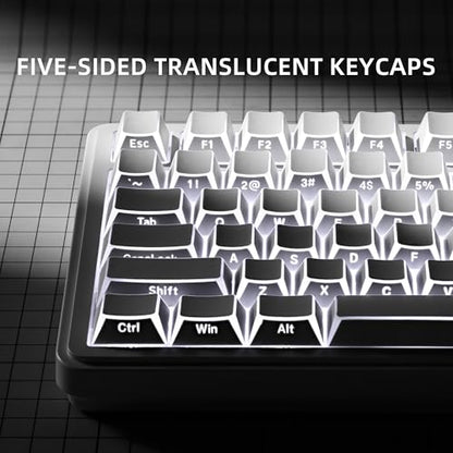 XVX White Shine Through Keycaps, PBT Keyboard Keycaps Cherry Profile, Custom Side Printed Keycap Sets Suitable for 60% 65% 75% 80% 100% Mechanical Keyboard - color: White Prism